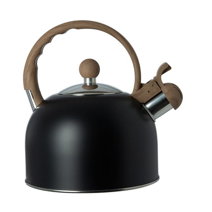Black Stainless Steel Induction Kettle