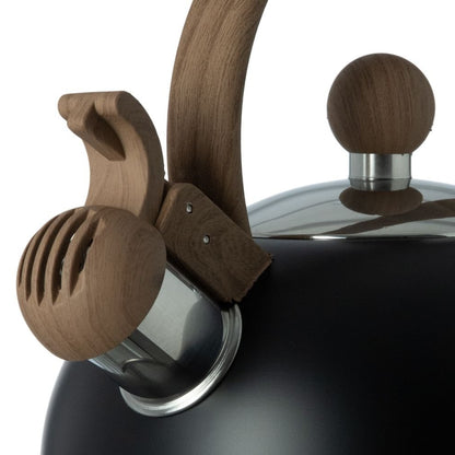 Black Stainless Steel Induction Kettle