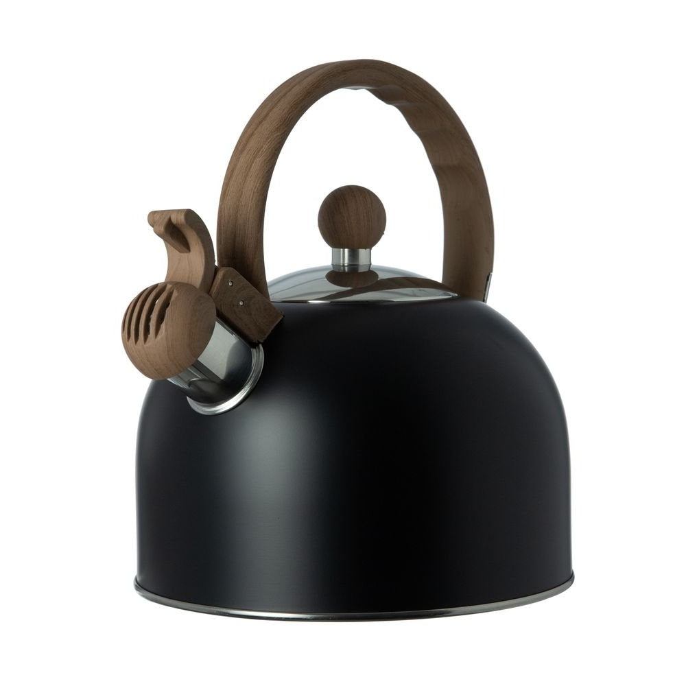 Black Stainless Steel Induction Kettle
