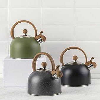 Black Stainless Steel Induction Kettle